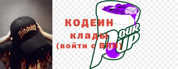 ПСИЛОЦИБИНОВЫЕ ГРИБЫ Арсеньев