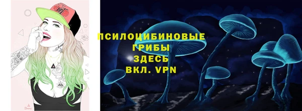 ПСИЛОЦИБИНОВЫЕ ГРИБЫ Арсеньев
