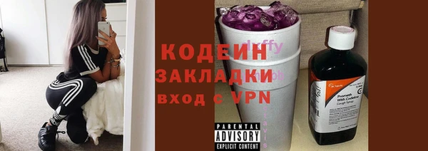 ПСИЛОЦИБИНОВЫЕ ГРИБЫ Арсеньев
