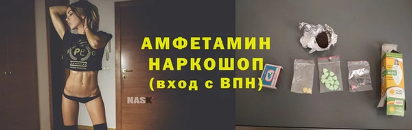 ПСИЛОЦИБИНОВЫЕ ГРИБЫ Арсеньев
