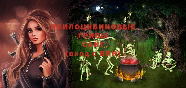 амф Аркадак
