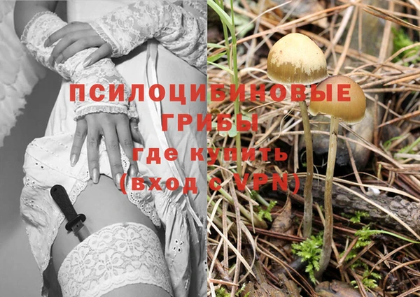амф Аркадак