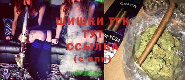 ПСИЛОЦИБИНОВЫЕ ГРИБЫ Арсеньев