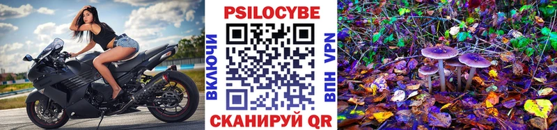 MEGA рабочий сайт  Зуевка  маркетплейс как зайти  Псилоцибиновые грибы прущие грибы 